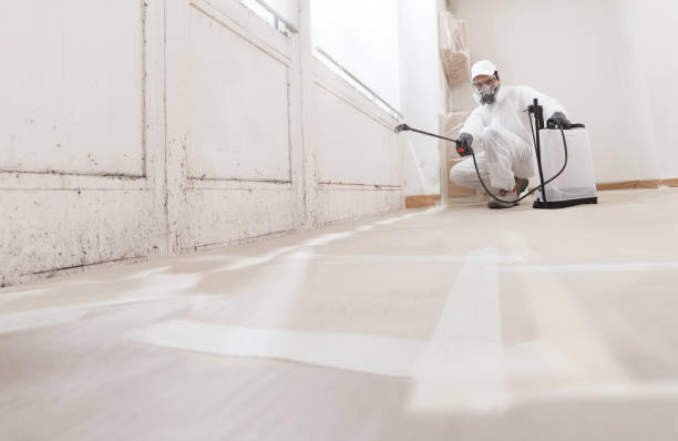 24/7 Emergency Mold Removal experts in Erwinna, PA